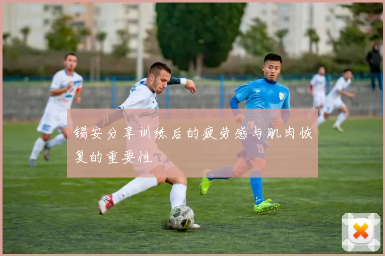 锡安分享训练后的疲劳感与肌肉恢复的重要性